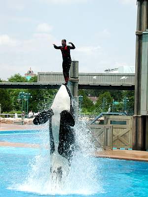 disney_2000_125_Disney2000 Sea World 30 May347.JPG